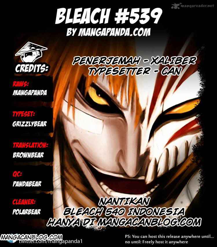 Bleach Chapter 539 Gambar 5