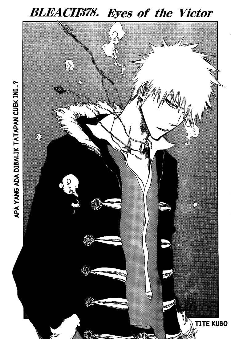 Bleach Chapter 378 Gambar 10