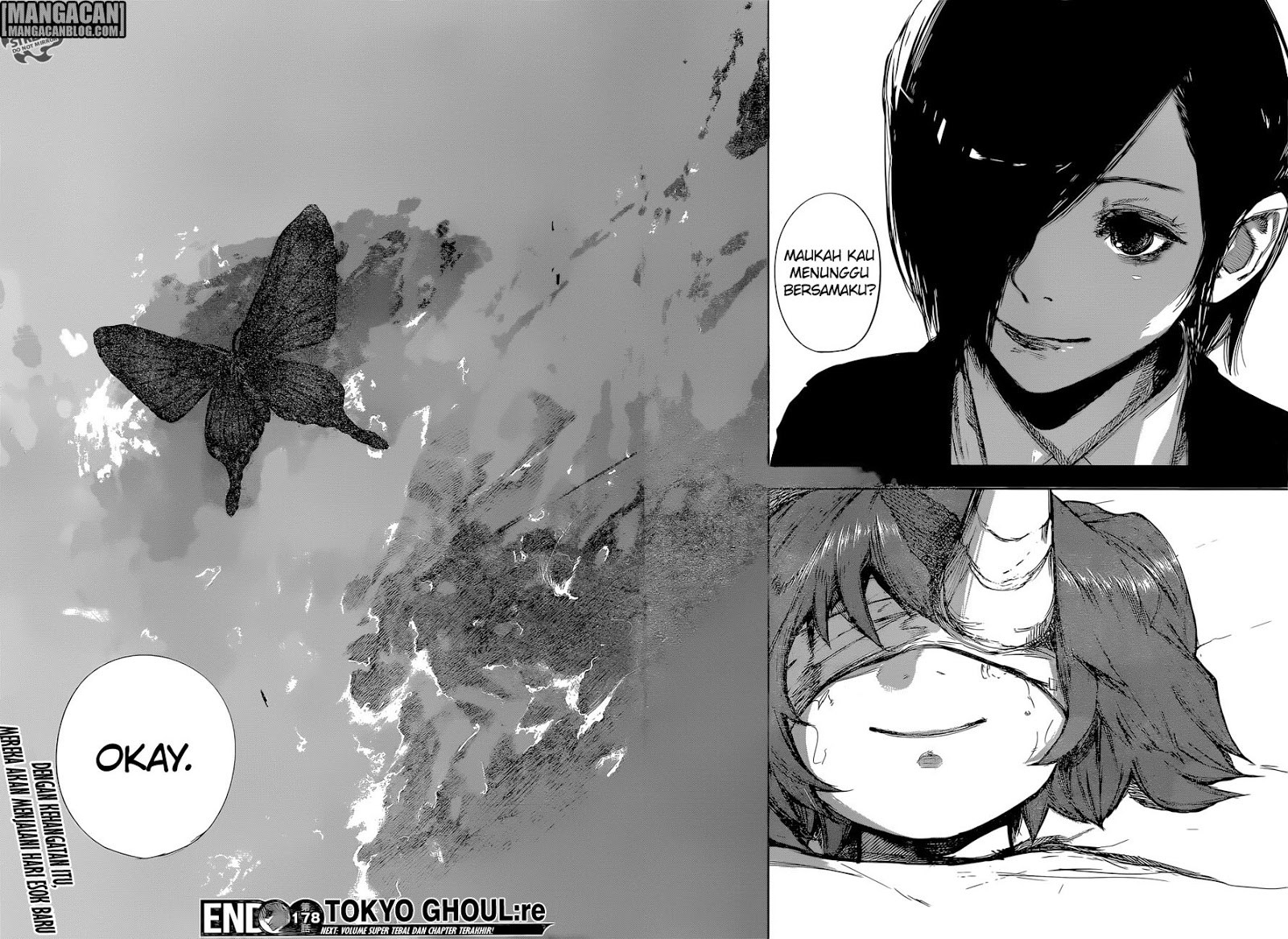 Tokyo Ghoul:re Chapter 178 Gambar 17
