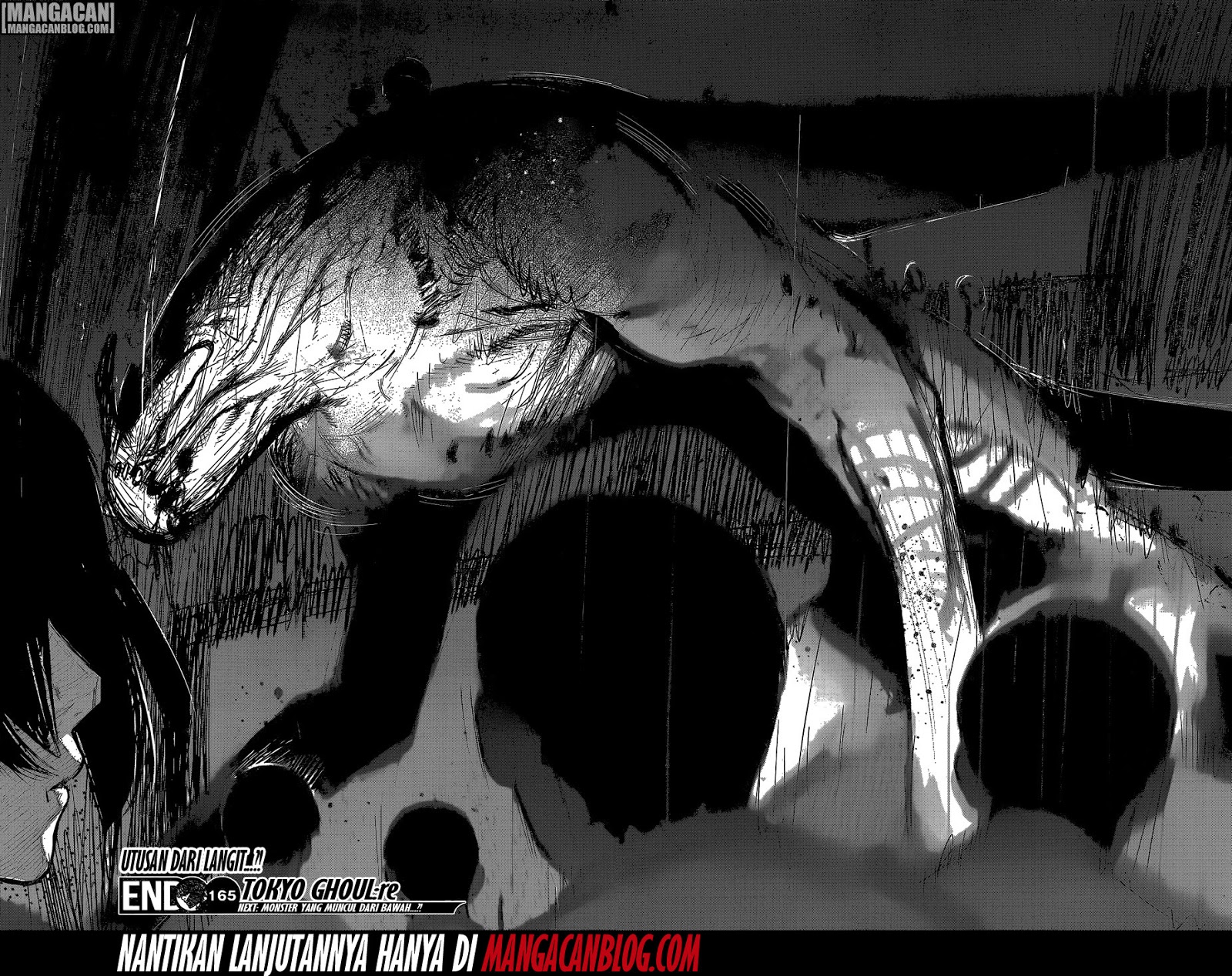 Tokyo Ghoul:re Chapter 165 Gambar 19