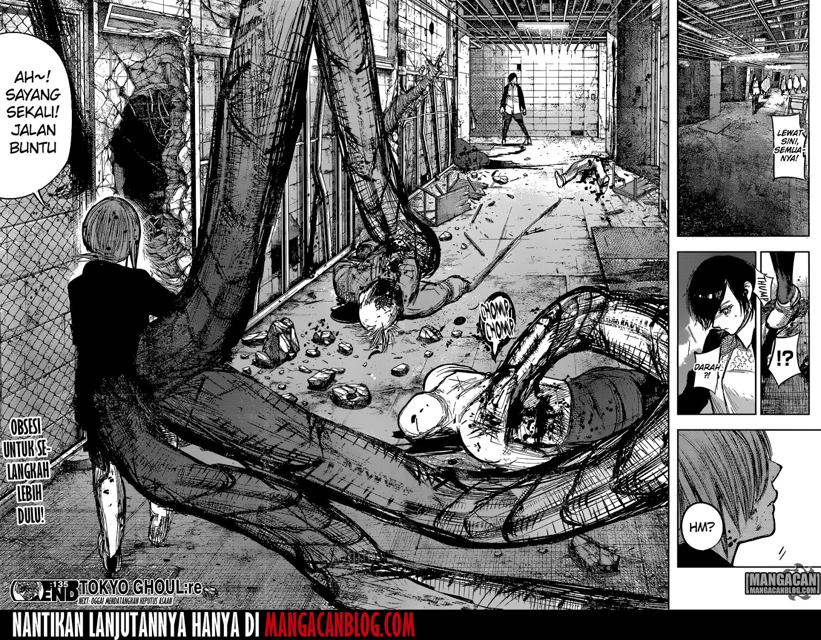 Tokyo Ghoul:re Chapter 135 Gambar 19