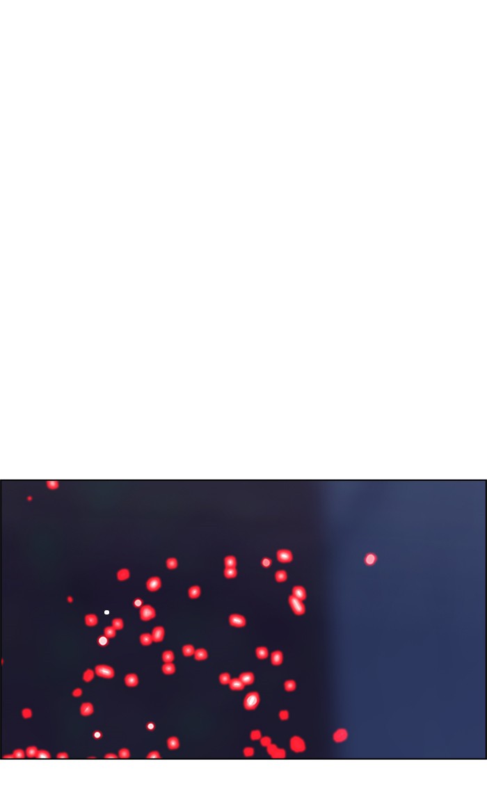 Dice Chapter 207 Gambar 63