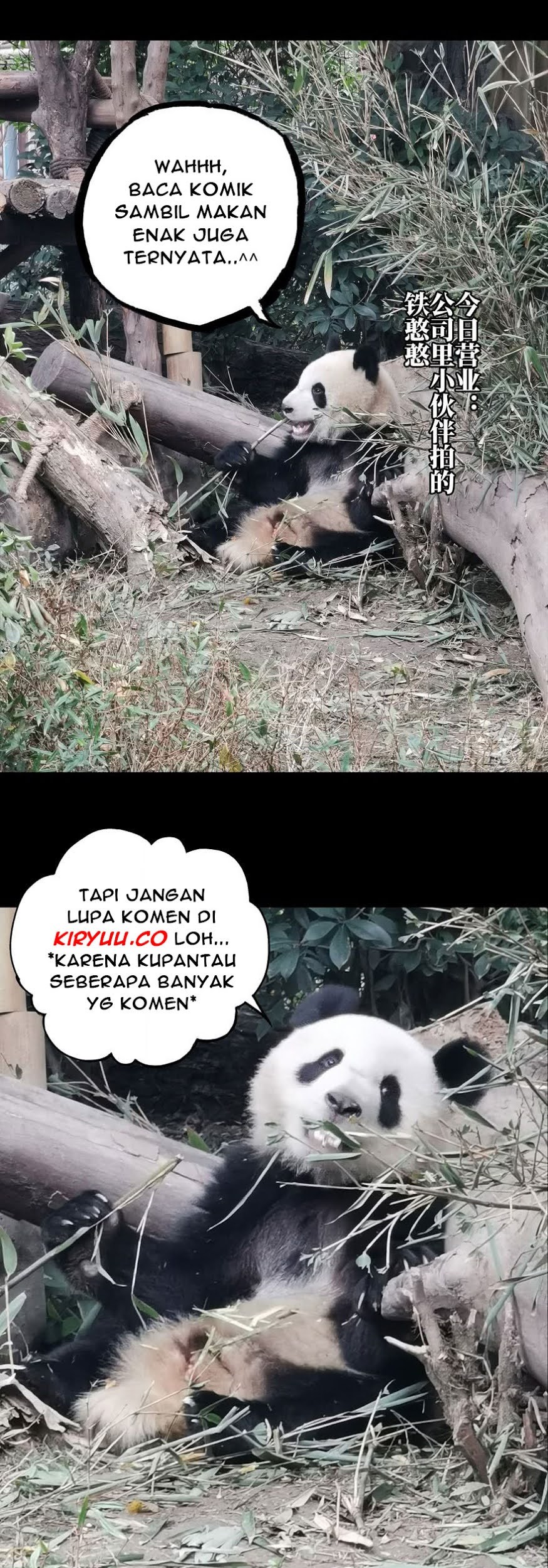 Da Xiang Wuxing Chapter 23 Gambar 18