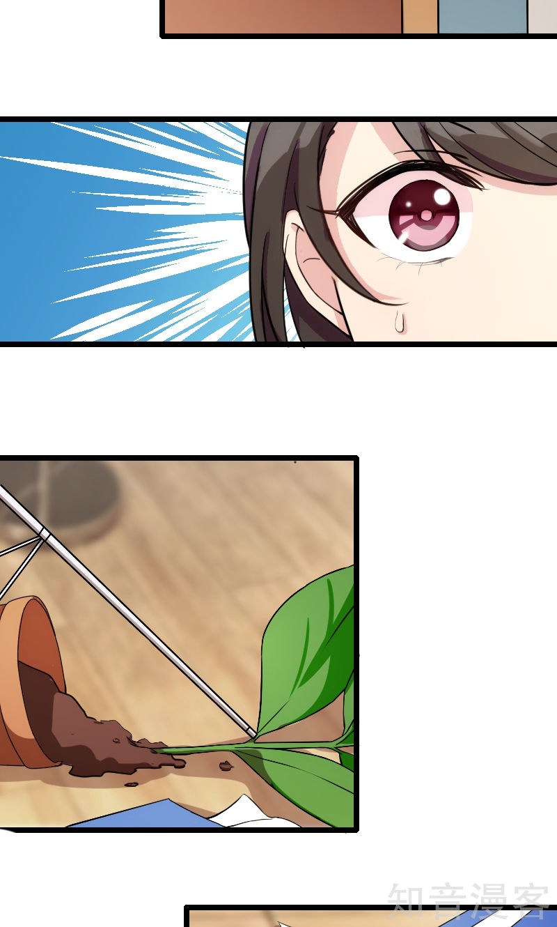 CEO’s Sudden Proposal Chapter 01 Gambar 9