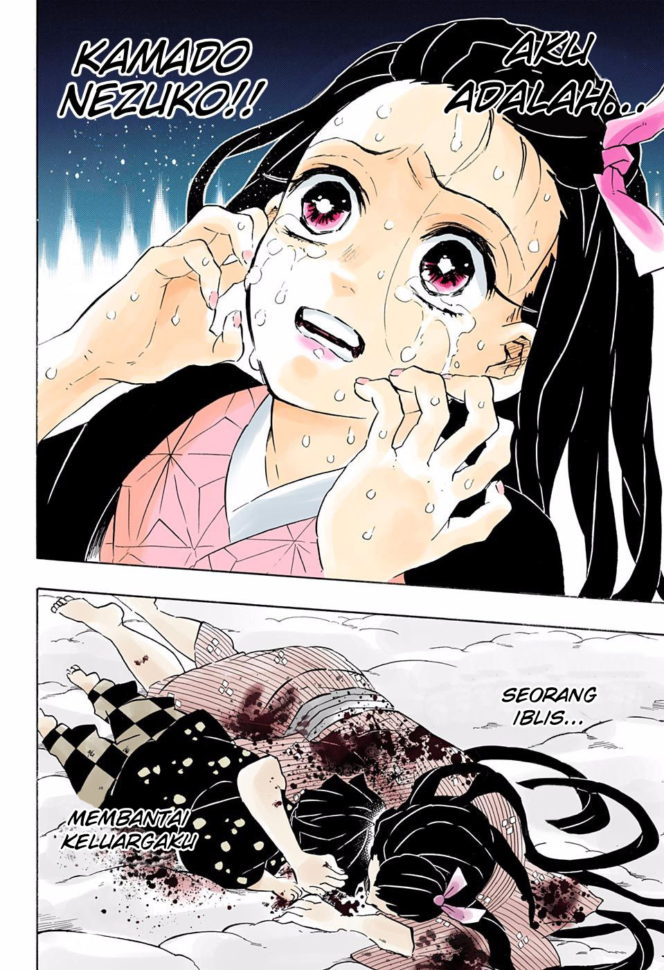 Kimetsu no Yaiba Chapter 196.5 Gambar 13