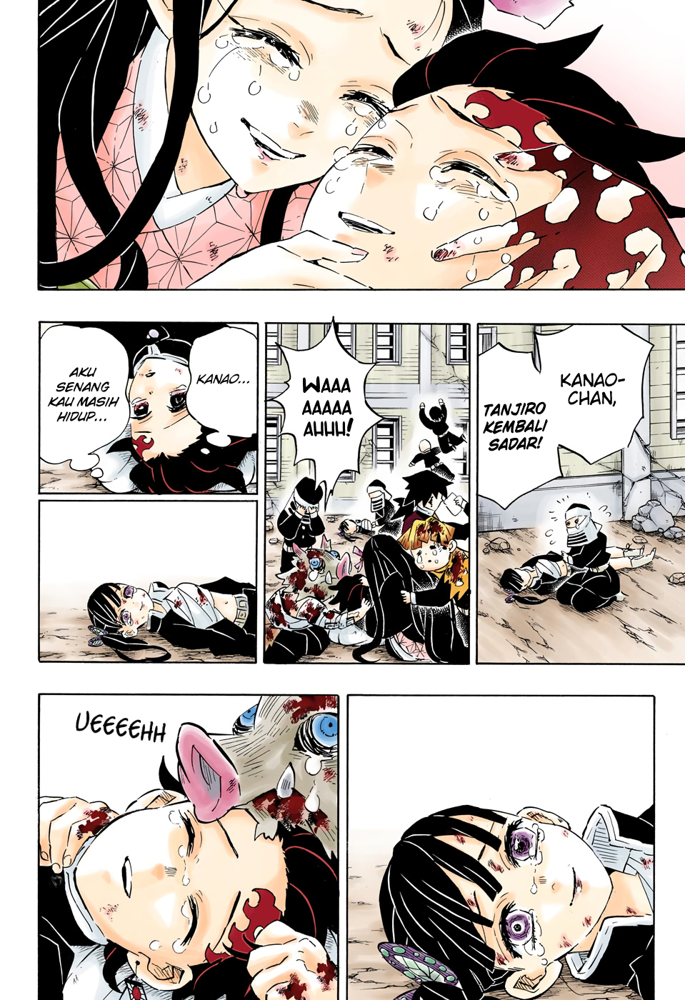Kimetsu no Yaiba Chapter 203.5 Gambar 19