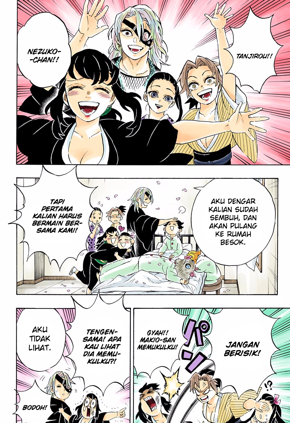 Kimetsu no Yaiba Chapter 204.5 Gambar 15