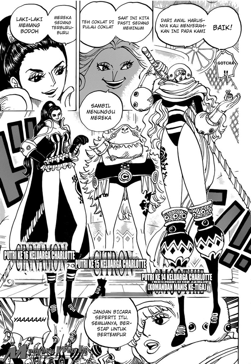 One Piece Chapter 892 Gambar 11