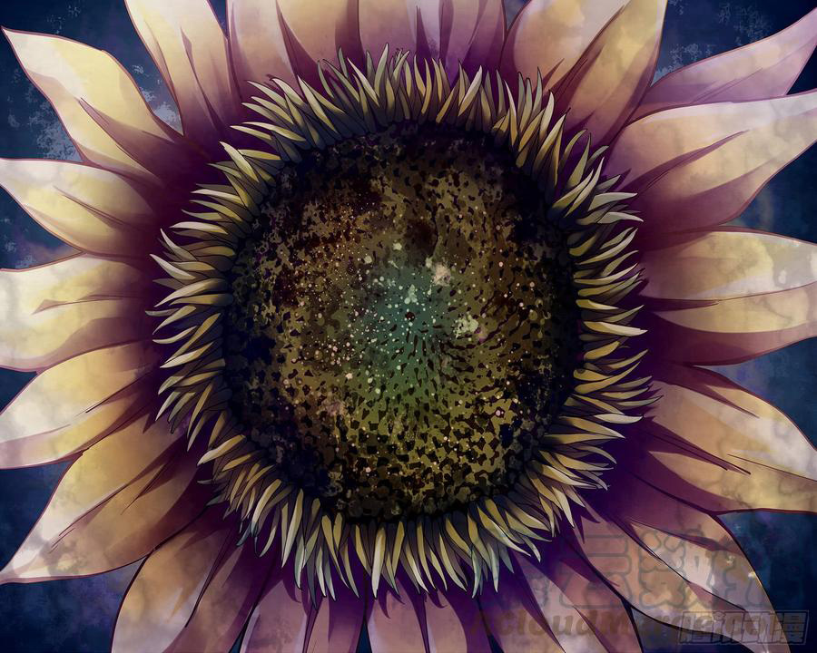 The Last Human Chapter 247 Gambar 14