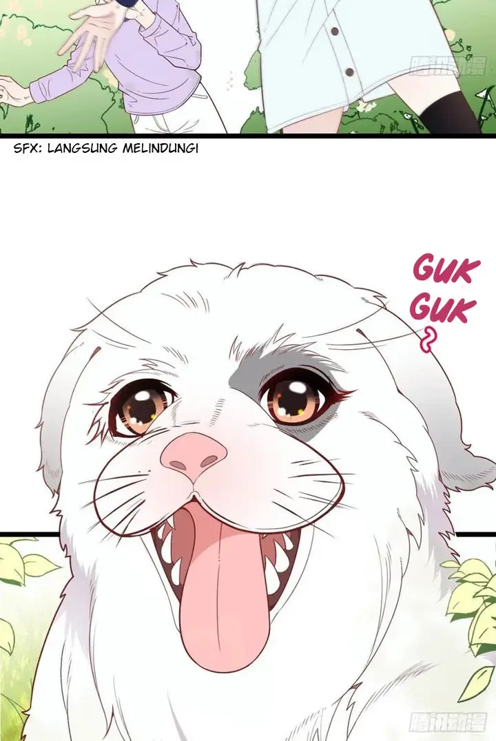 Pregnant Wife, One Plus One Chapter 68 Gambar 6