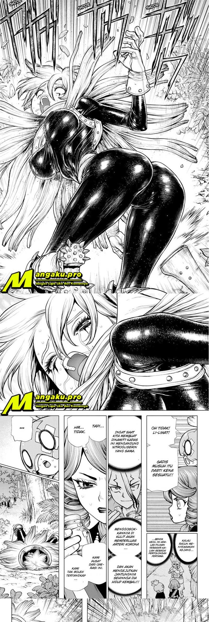 Dr. Stone Chapter 185 Gambar 9
