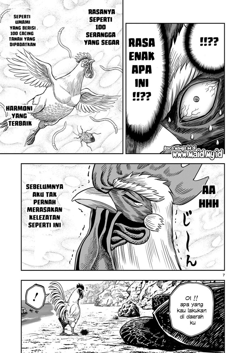 Rooster Fighter Chapter 04 Gambar 9