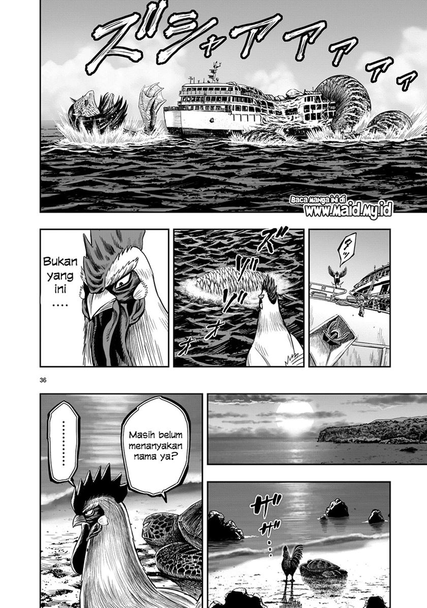 Rooster Fighter Chapter 04 Gambar 36