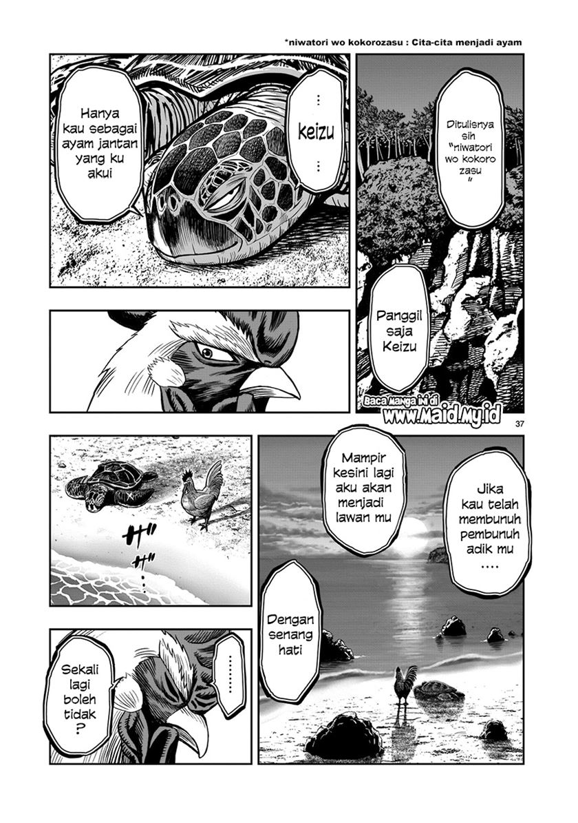 Rooster Fighter Chapter 04 Gambar 37