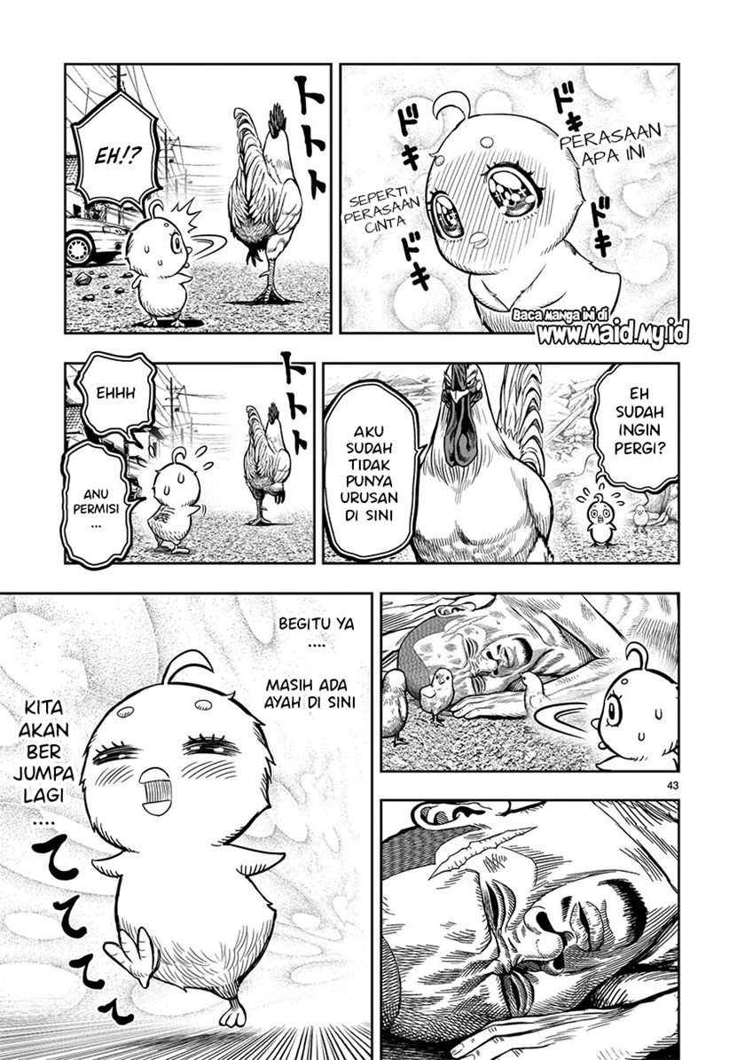 Rooster Fighter Chapter 5 Gambar 45