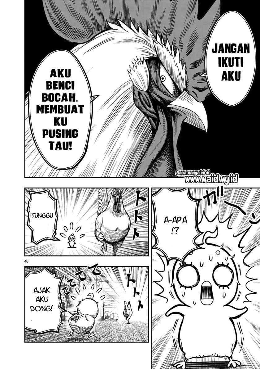 Rooster Fighter Chapter 5 Gambar 48