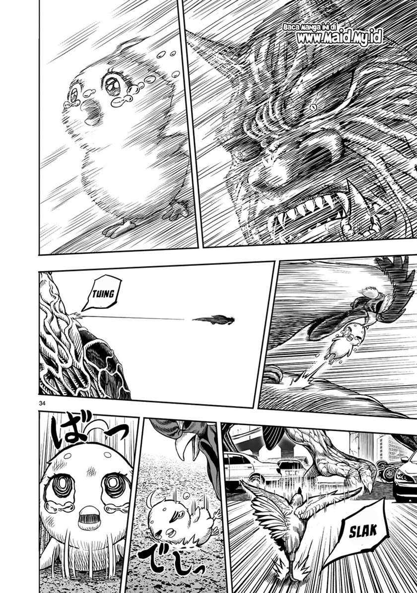 Rooster Fighter Chapter 5 Gambar 36