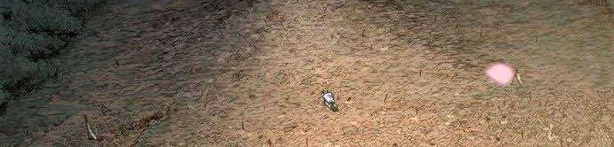 Return of the Flowery Mountain Sect Chapter 1 Gambar 71