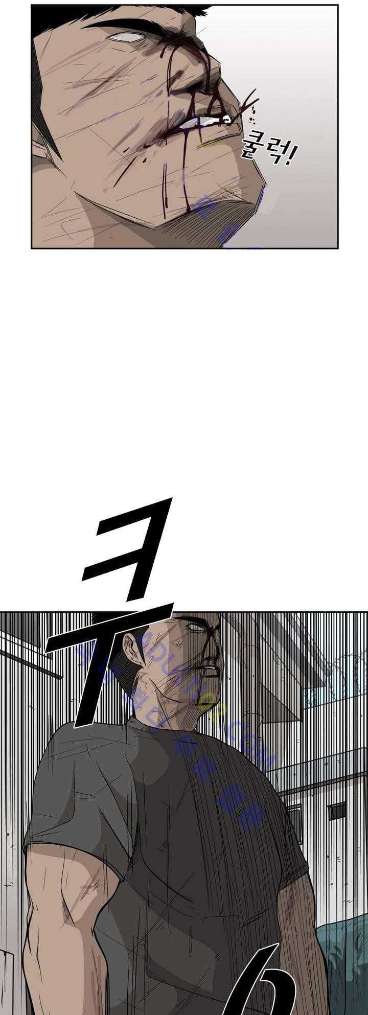 Shark Chapter 24 Gambar 8