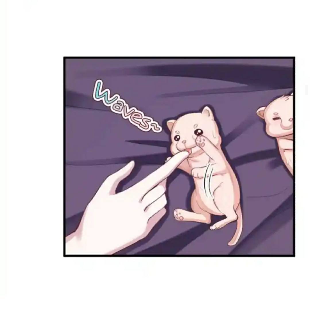 Beauty and the Beast Chapter 206 Gambar 22