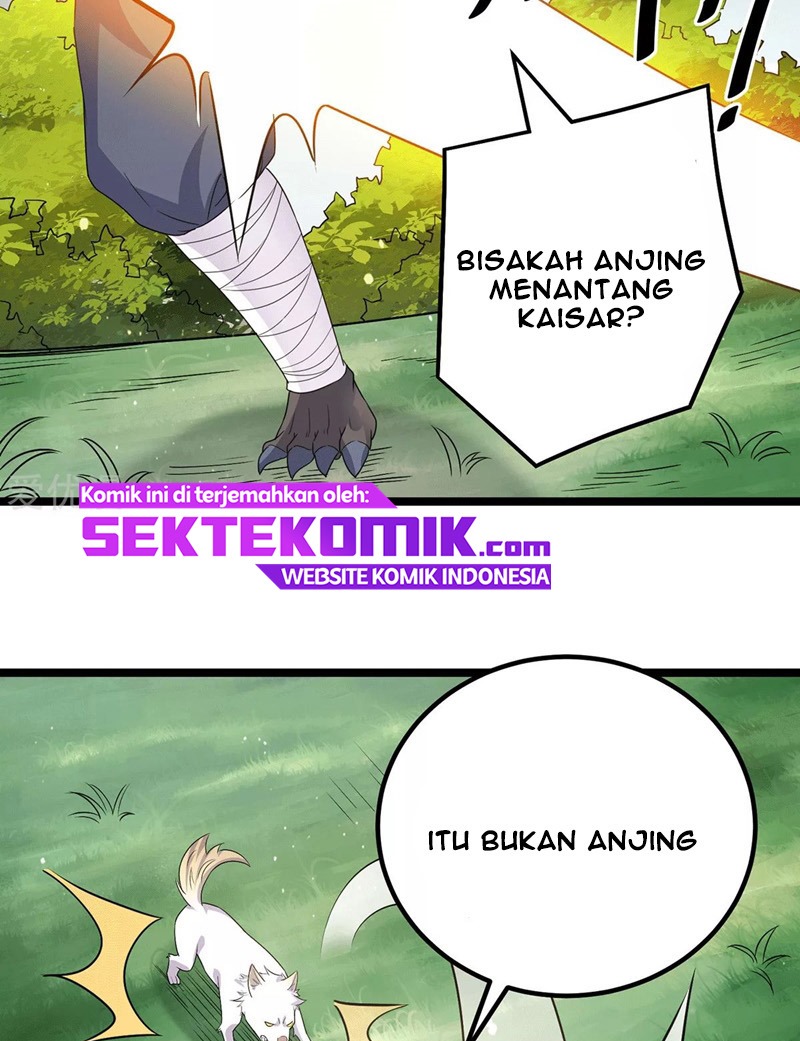 Dushi Xian Wang Chapter 215 Gambar 16