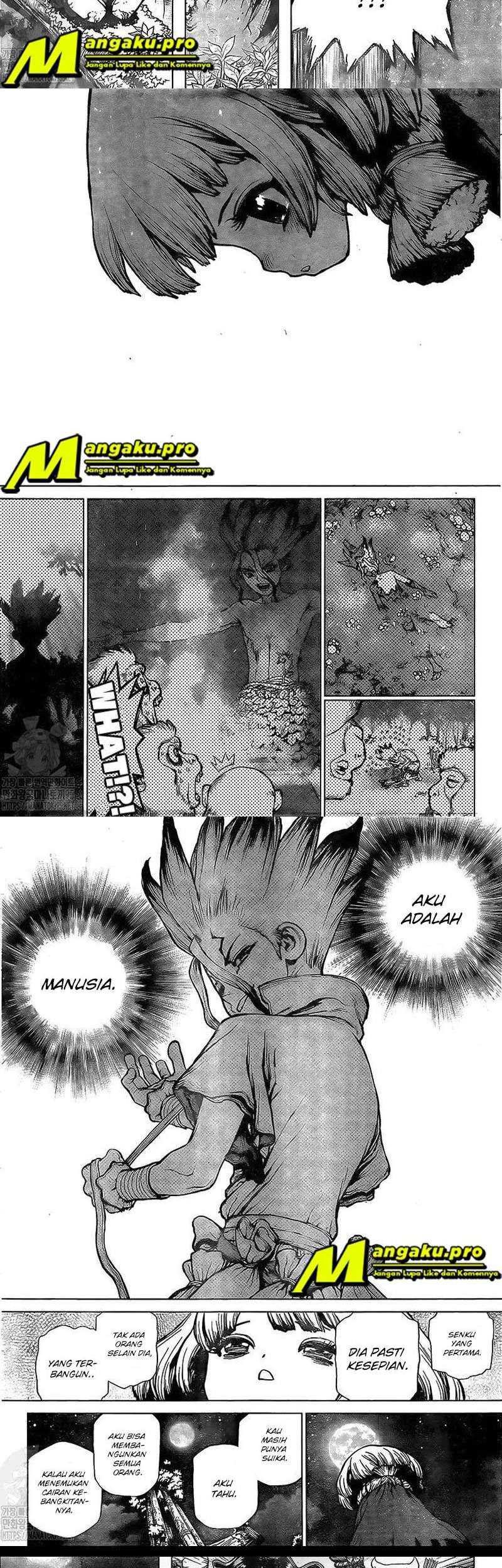 Dr. Stone Chapter 194 Gambar 9