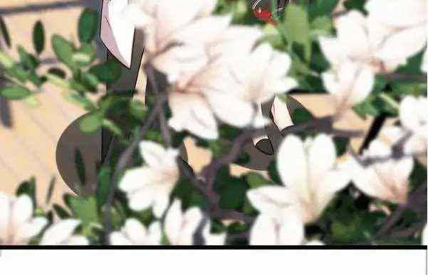 CEO’s Sudden Proposal Chapter 244 Gambar 13