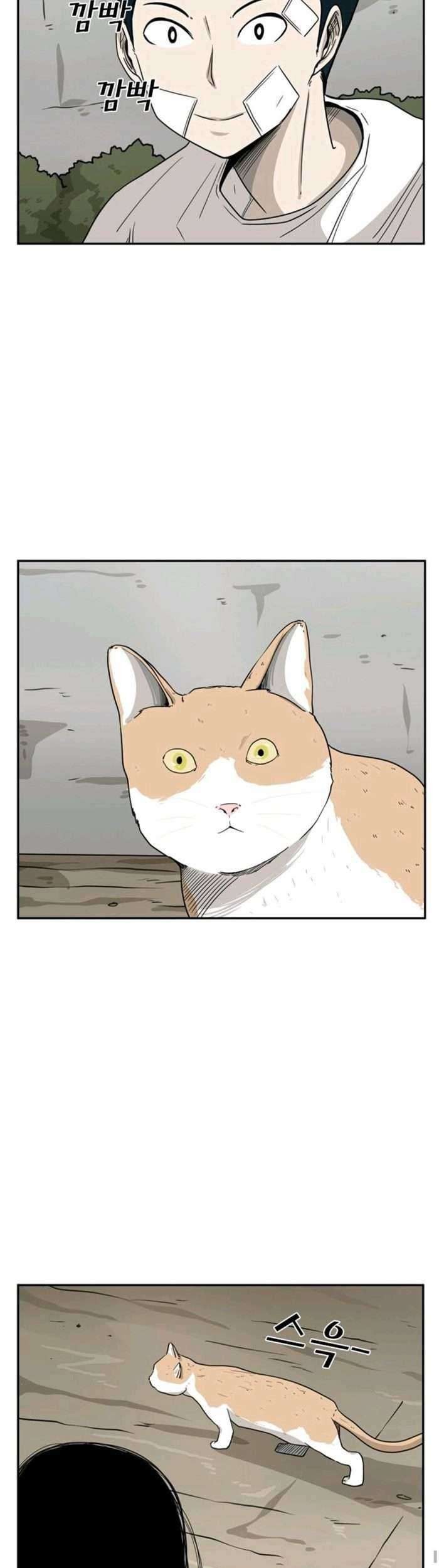 Shark Chapter 47 Gambar 35