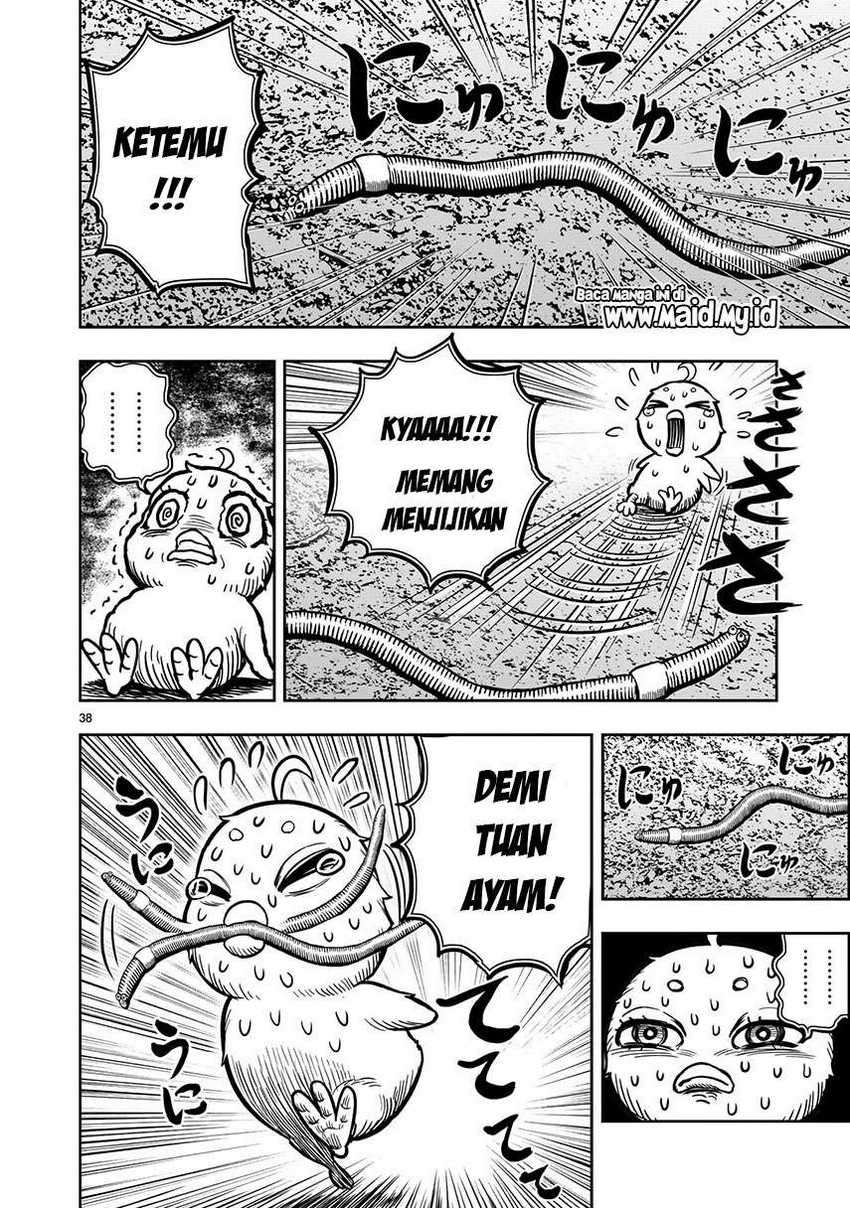 Rooster Fighter Chapter 06 Gambar 40