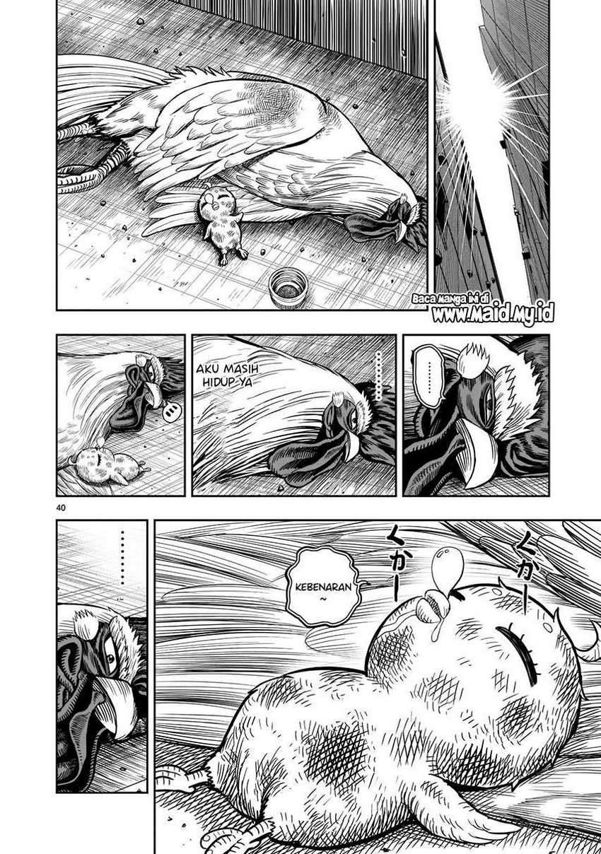 Rooster Fighter Chapter 06 Gambar 42