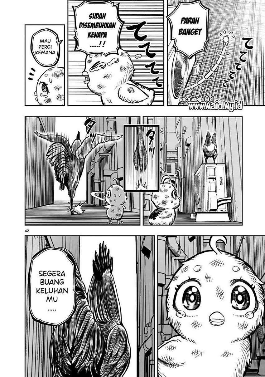 Rooster Fighter Chapter 06 Gambar 44