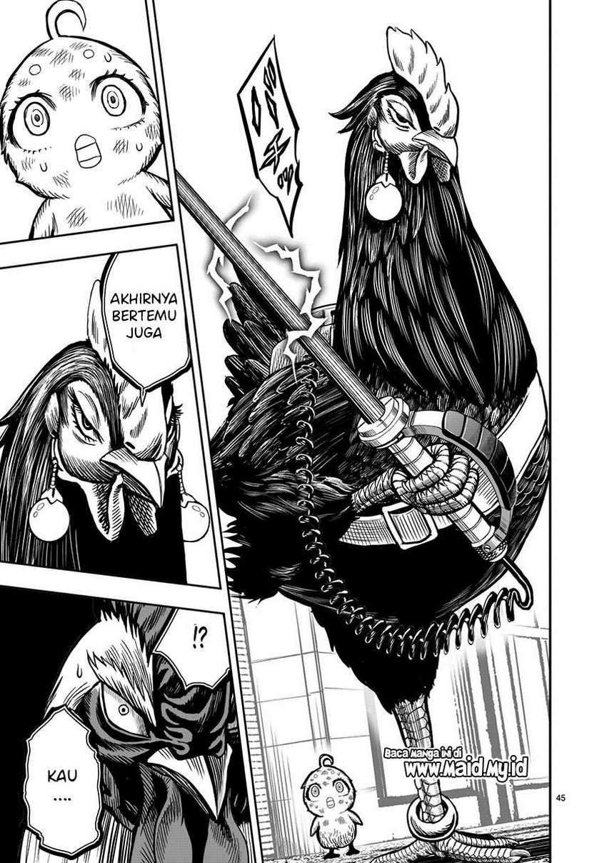 Rooster Fighter Chapter 06 Gambar 47