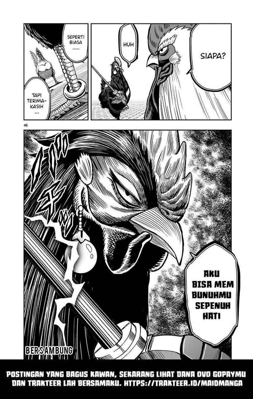 Rooster Fighter Chapter 06 Gambar 48
