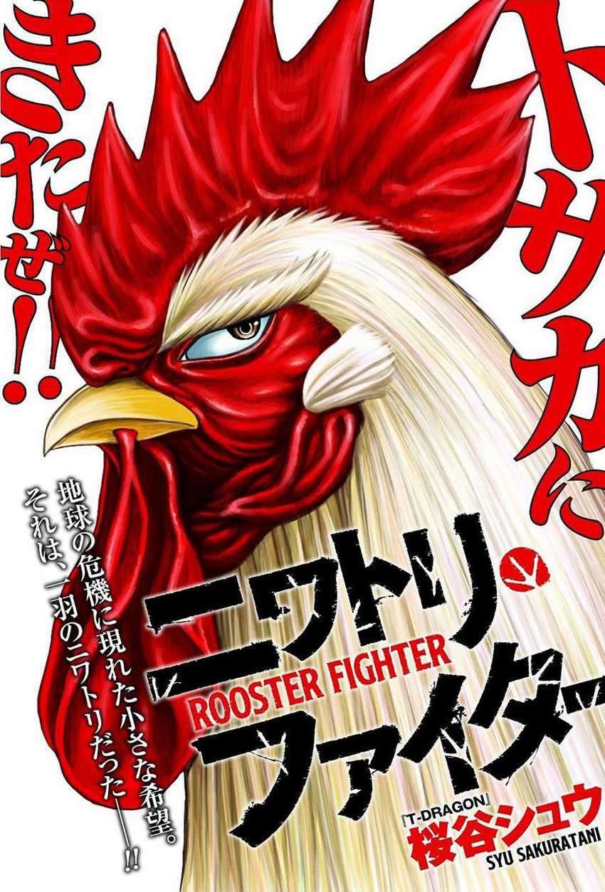Komik Rooster Fighter Chapter 06 gambar nomor 1