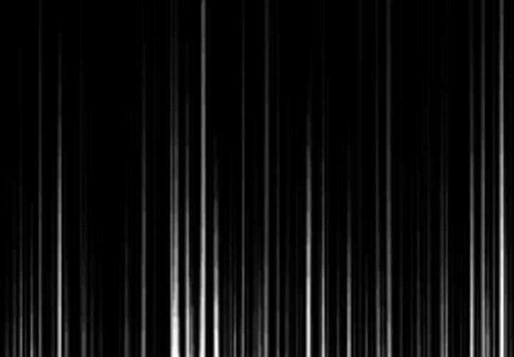 Shark Chapter 117 Gambar 33