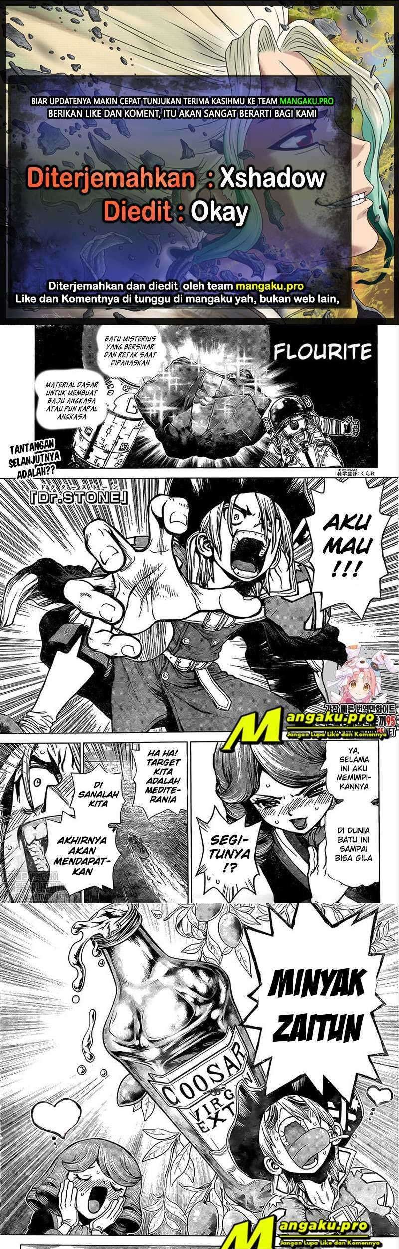 Komik Dr. Stone Chapter 202 gambar nomor 1