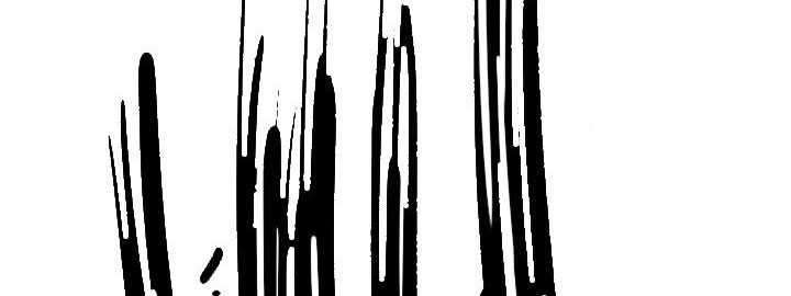 Shark Chapter 183 Gambar 18