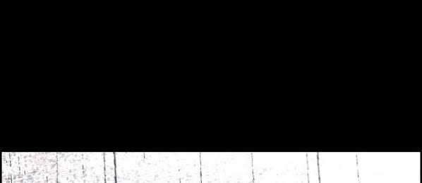 Shark Chapter 212 Gambar 46