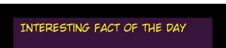 Iron Ladies Chapter 77 Gambar 71