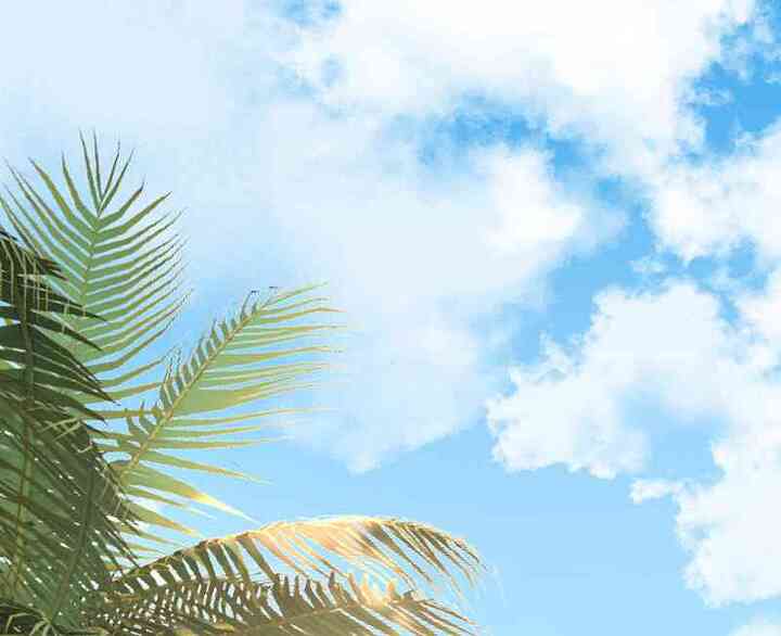 The King’s First Favorite Queen Chapter 18 Gambar 29