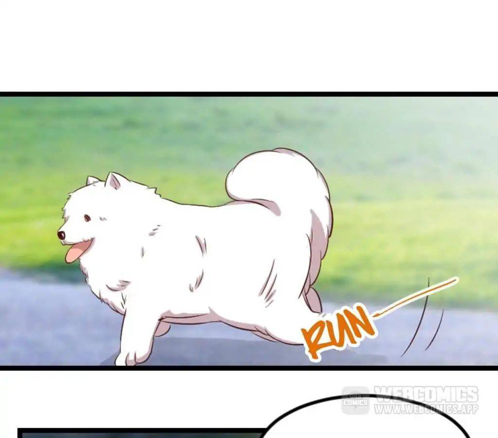 CEO’s Sudden Proposal Chapter 76 Gambar 29