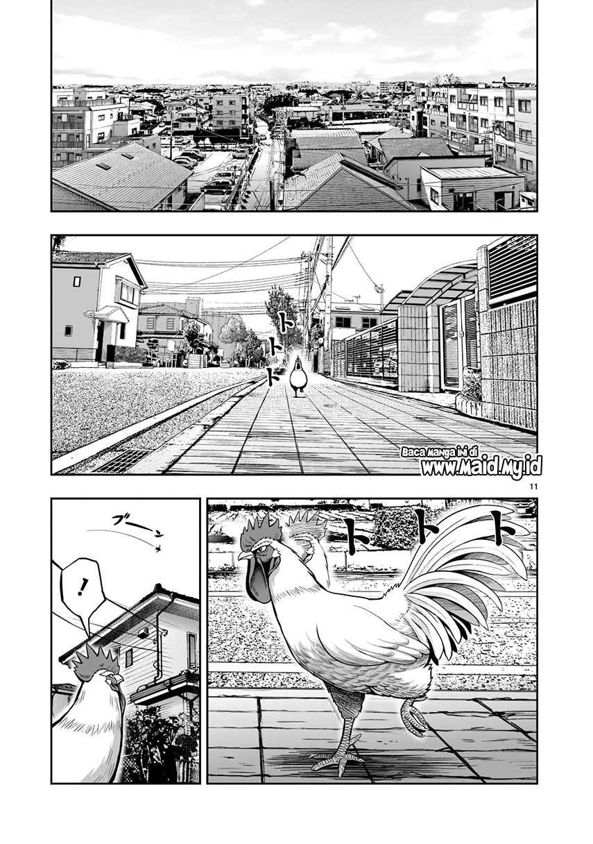 Rooster Fighter Chapter 01 Gambar 13