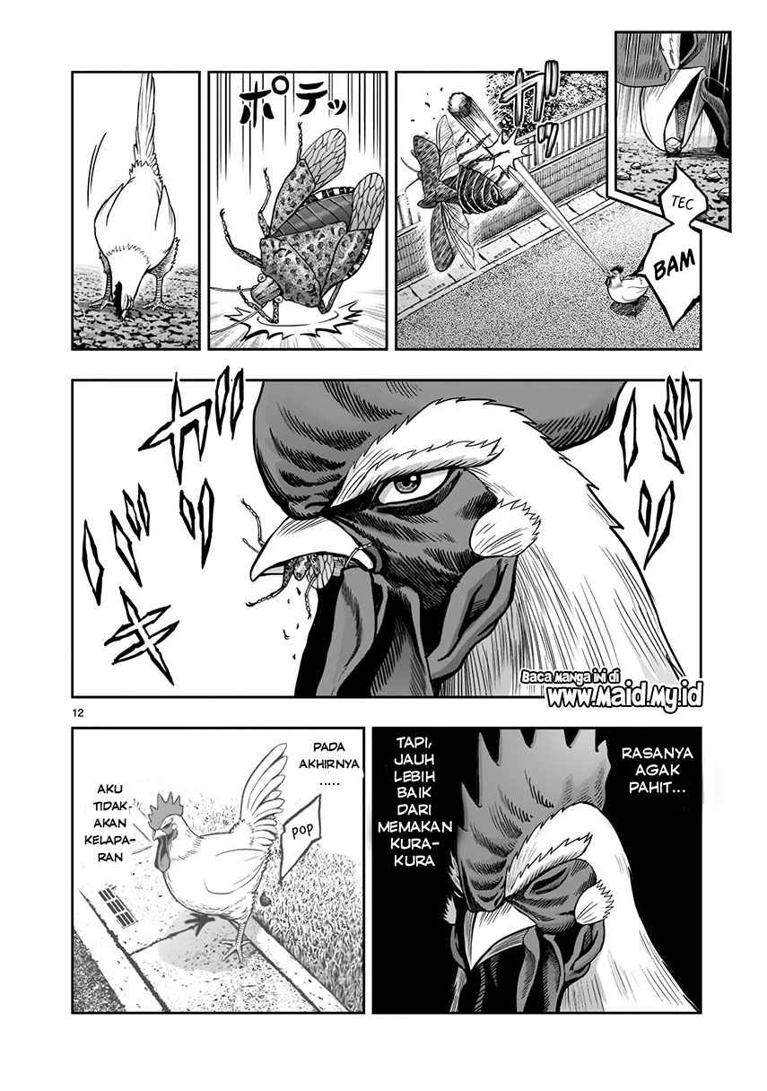 Rooster Fighter Chapter 01 Gambar 14
