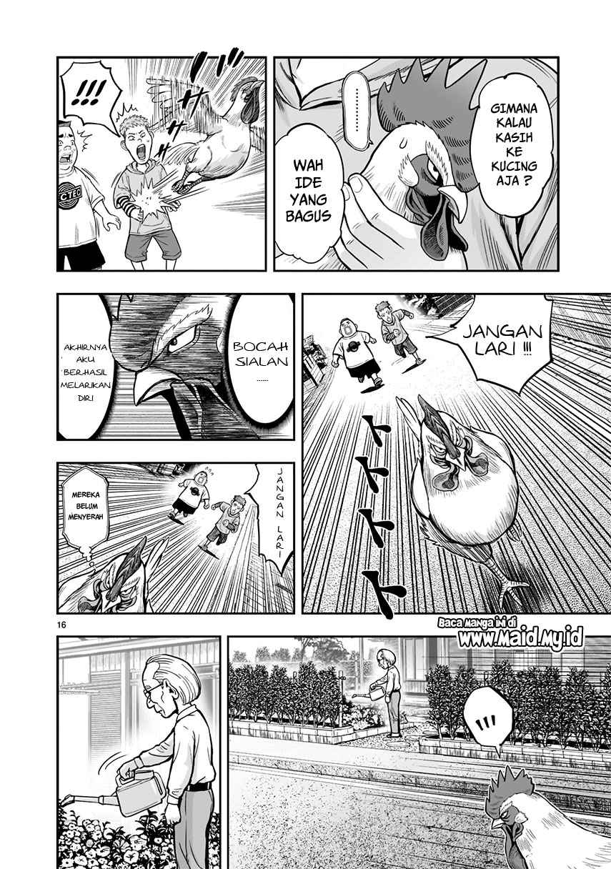 Rooster Fighter Chapter 01 Gambar 18