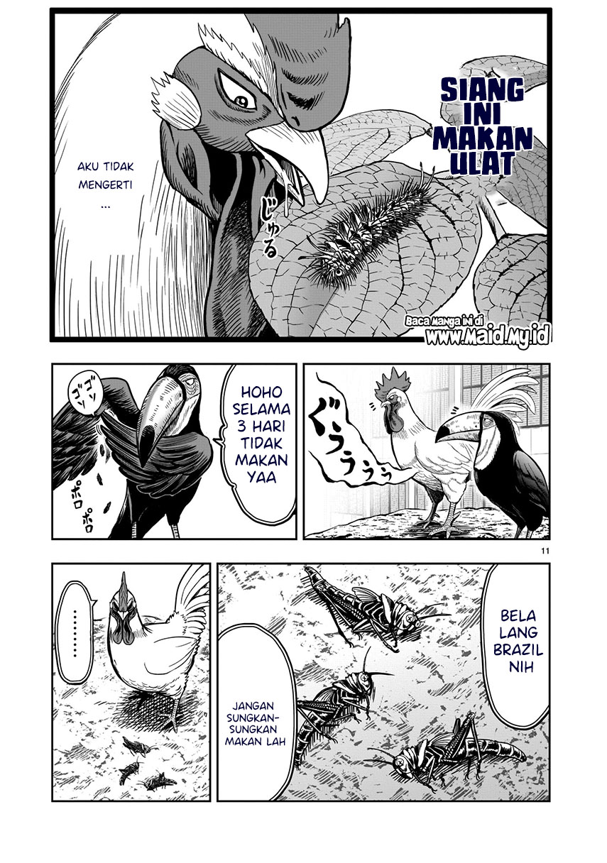 Rooster Fighter Chapter 03 Gambar 12