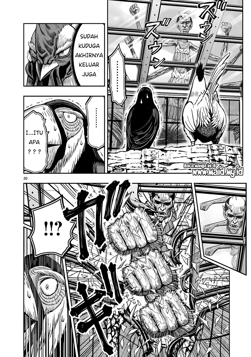 Rooster Fighter Chapter 03 Gambar 21