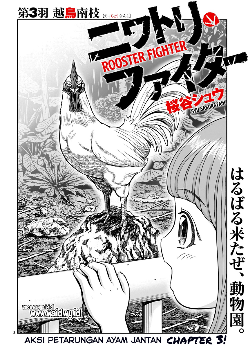 Rooster Fighter Chapter 03 Gambar 3