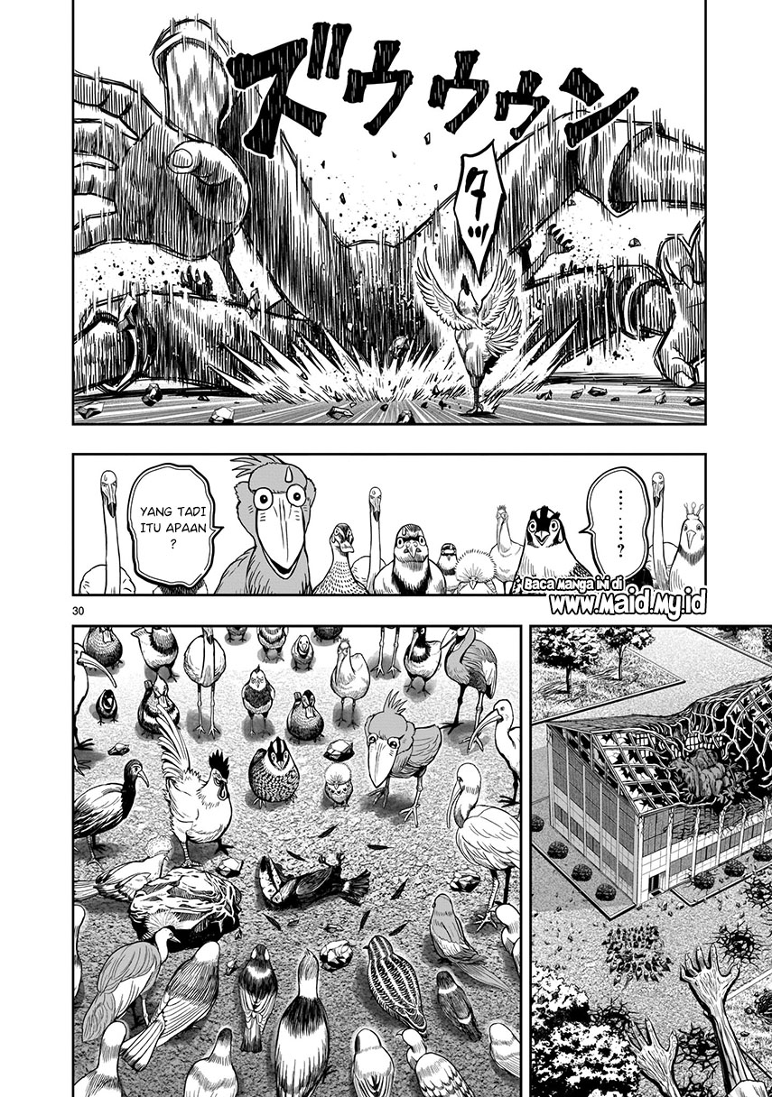 Rooster Fighter Chapter 03 Gambar 30