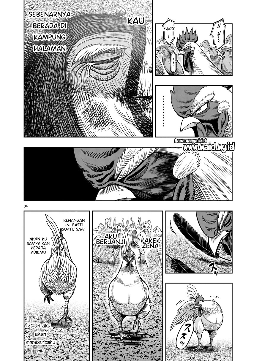 Rooster Fighter Chapter 03 Gambar 34