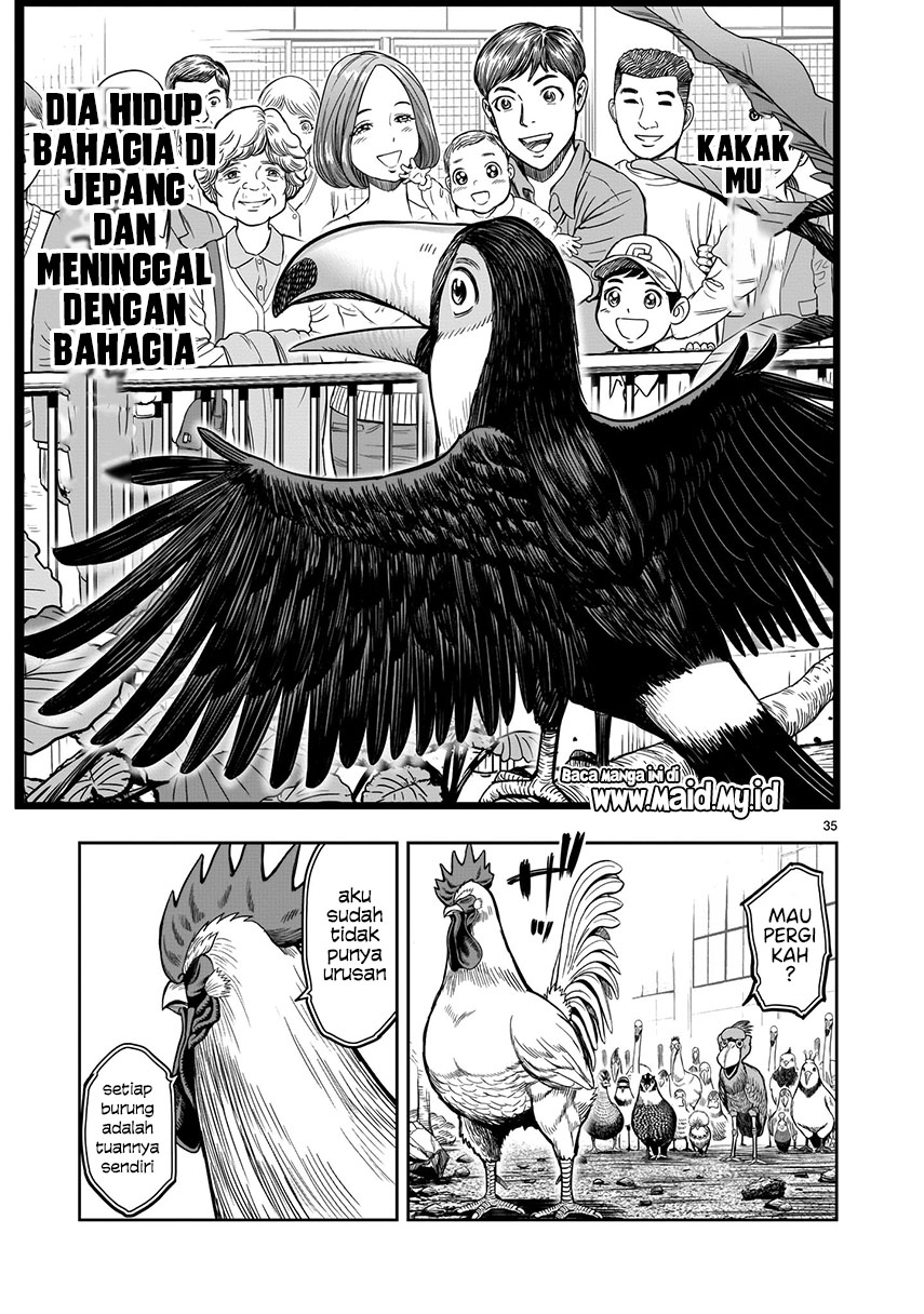 Rooster Fighter Chapter 03 Gambar 35